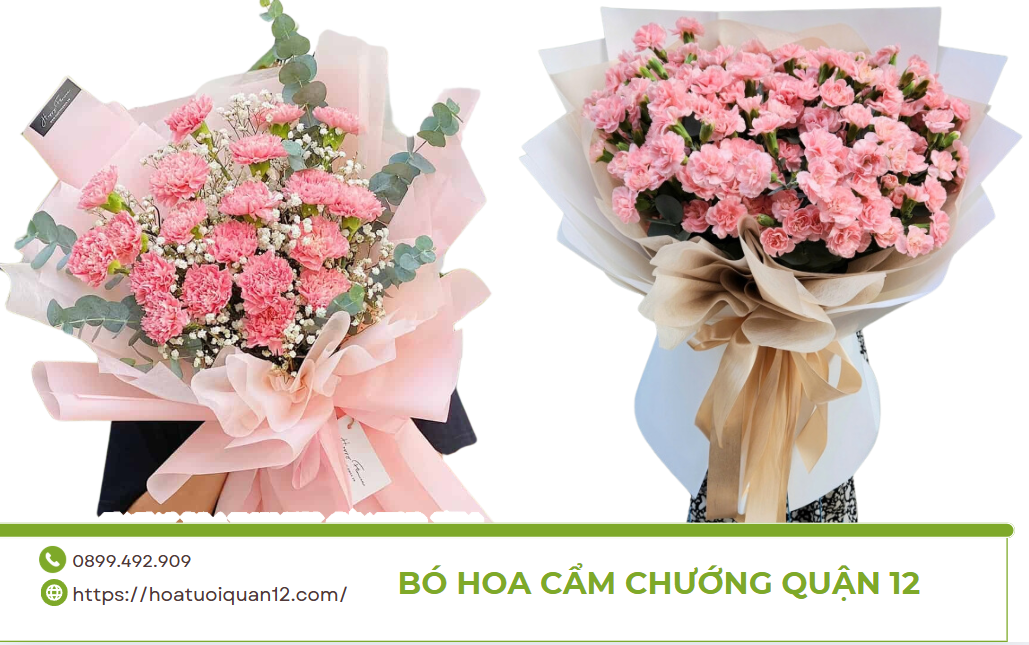 B&oacute; hoa cẩm chướng
