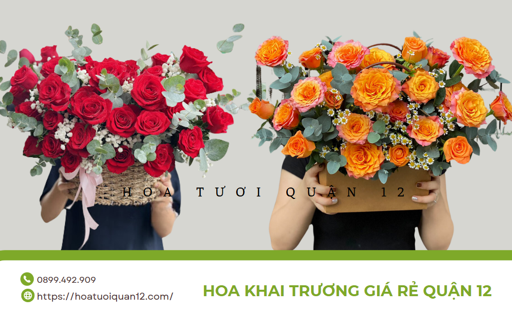 hoa hổng khai trương gi&aacute; rẻ