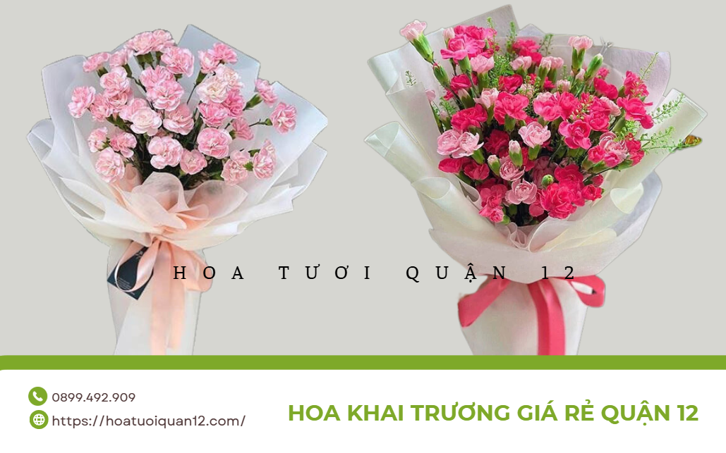 b&oacute; hoa cẩm chướng khai trương gi&aacute; rẻ