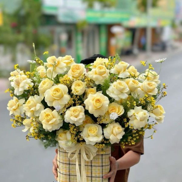 Chọn Hoa Tặng Thầy Cô Ngày Về Thăm Trường Ý Nghĩa