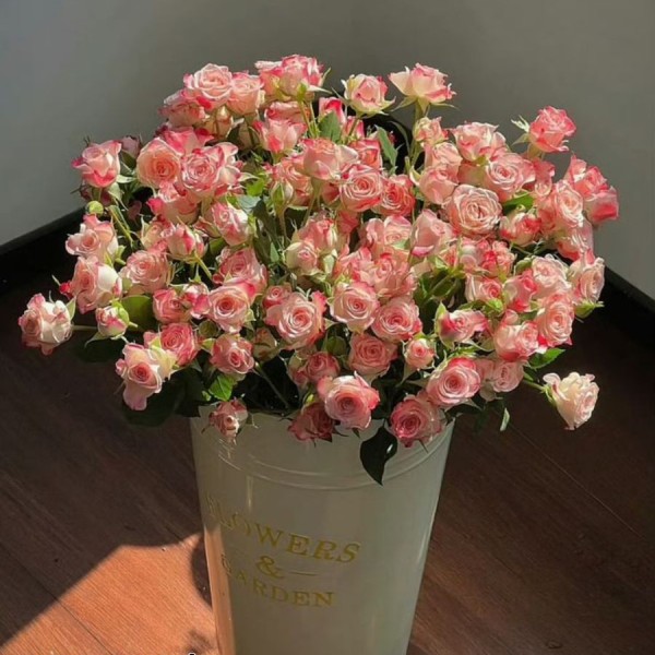 Hoa Hồng Mini: Loài Hoa Nhỏ Xinh Dễ Trồng Và Đầy Ý Nghĩa
