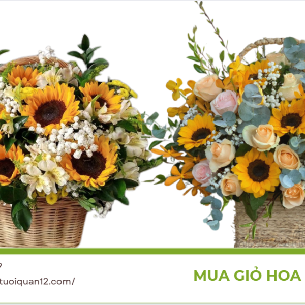 Mua giỏ hoa quận 12 rực rỡ mang đến niềm vui bất ngờ
