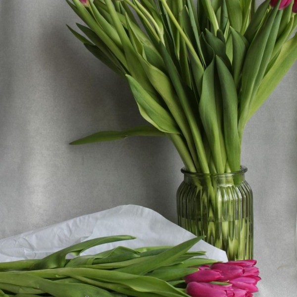 Cách giữ hoa tulip tươi lâu và không bị rũ cánh nhanh
