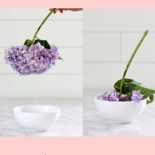 5 Mẹo Làm Hoa Héo Tươi Trở Lại Cực Kỳ Đơn Giản