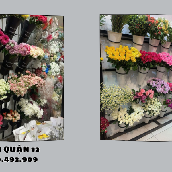 Dịch vụ Hoa Tươi Quận 12 – Sinh nhật, khai trương…