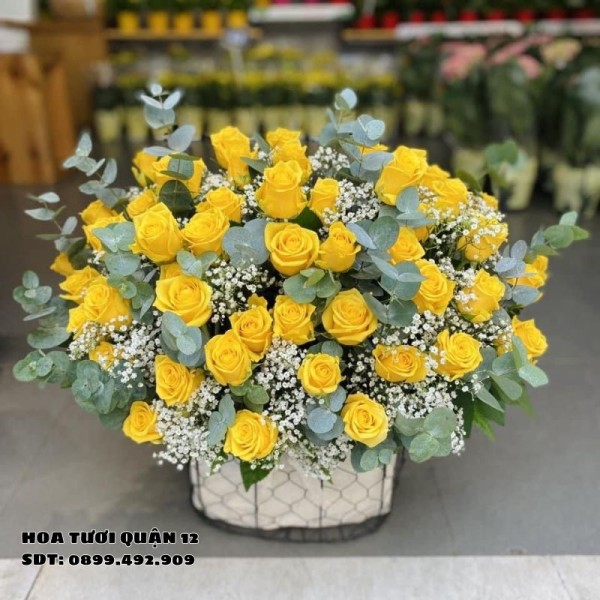 Hoa Hồng Khai Trương Biểu Tượng Thịnh Vượng Rực Rỡ