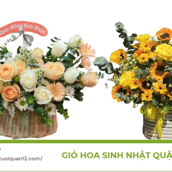 Mua giỏ hoa sinh nhật quận 12 tươi thắm gửi gắm yêu thương