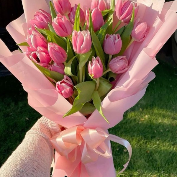 Các Mẫu Hoa Tulip Màu Hồng Danh Cho Dip Đặc Biệt